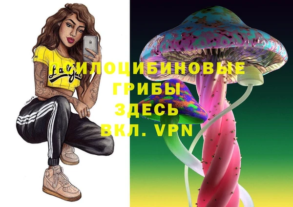 тгк Снежногорск