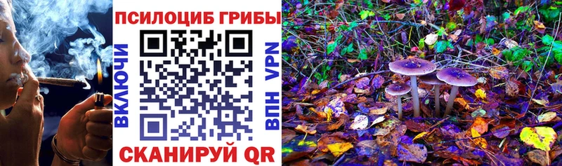 Псилоцибиновые грибы Psilocybine cubensis  хочу наркоту  площадка как зайти  Краснотурьинск 